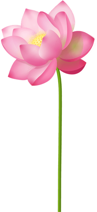 lotusflowers-realistic-set-913751