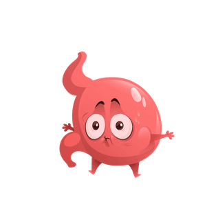 lovelystomach-cartoon-stomach-character-cute-mascot-990906