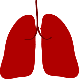 lungmedical-icons-set-926750