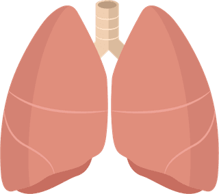 lungviscera-medicine-elements-organs-sketch-colored-design-41658