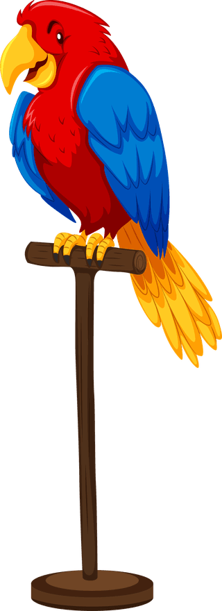macawset-of-cute-animals-illustration-28649