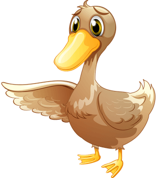 mallardillustration-of-the-ducks-and-geese-on-a-white-background-82456