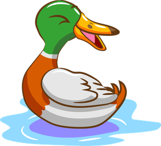 mallardset-of-cartoon-mallard-ducks-isolated-on-white-background-590544