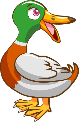 mallardset-of-cartoon-mallard-ducks-isolated-on-white-background-685010