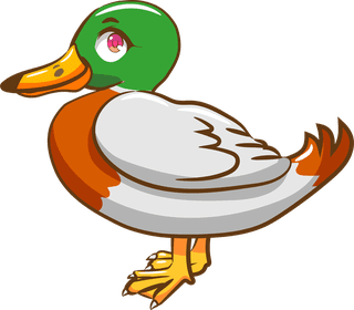 mallardset-of-cartoon-mallard-ducks-isolated-on-white-background-835515