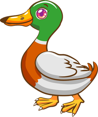 mallardset-of-cartoon-mallard-ducks-isolated-on-white-background-283839
