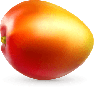 mangoand-mango-juice-splash-vector-629688