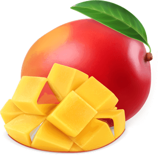 mangoand-mango-juice-splash-vector-243655