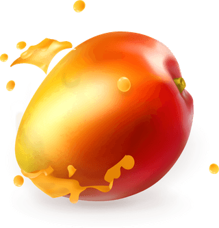 mangoand-mango-juice-splash-vector-284769