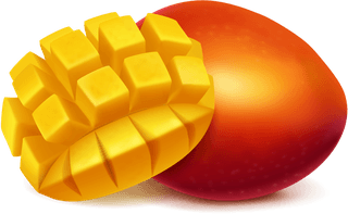 mangowhole-sliced-realistic-vector-230726