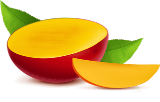 mangowhole-sliced-realistic-vector-939544