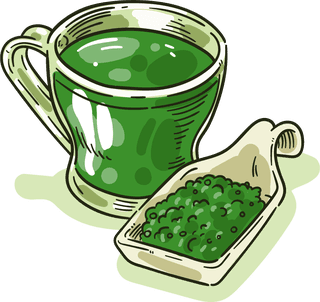 handdrawn-green-tea-varieties-match-sketch-506879