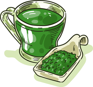 handdrawn-green-tea-varieties-match-sketch-506879