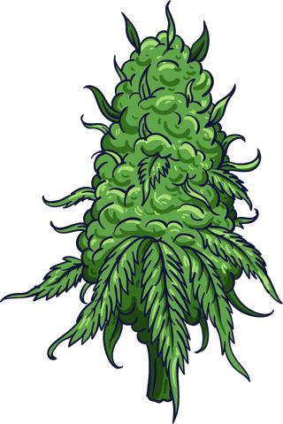 medicinalplants-cannabis-cigarette-design-elements-tree-leaf-sketch-545639