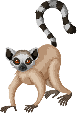 meerkatdifferent-type-of-wildlife-animals-on-white-background-illustration-638481