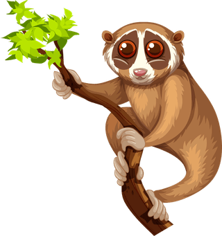 meerkatdifferent-type-of-wildlife-animals-on-white-background-illustration-591242