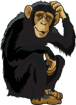 monkeydifferent-type-of-wildlife-animals-on-white-background-illustration-890548