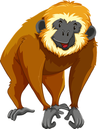 monkeydifferent-type-of-wildlife-animals-on-white-background-illustration-222147