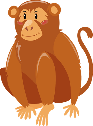 monkeywild-animals-collection-633556
