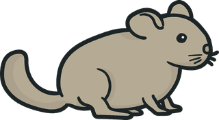 mousevecteezy-chinchilla-illustration-set-ready-for-download-56182