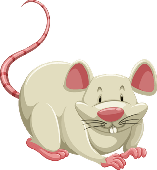 mouseset-wild-animals-459460