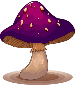 mushrooma-set-of-colourful-mushroom-illustration-781152