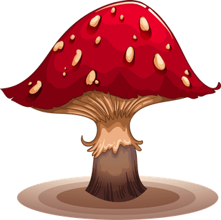 mushrooma-set-of-colourful-mushroom-illustration-253430