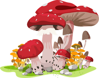 mushroomicons-colorful-design-growth-sketch-291493