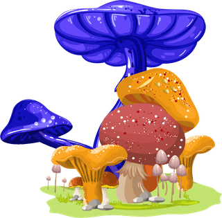 mushroomicons-colorful-design-growth-sketch-973078