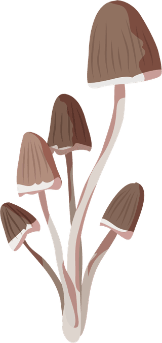 mushroommushroom-icons-colorful-design-growth-sketch-994900