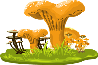 mushroommushroom-icons-colorful-design-growth-sketch-633917