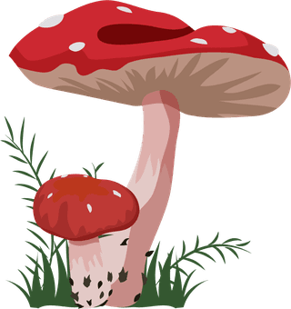 mushroommushroom-icons-isolation-red-cone-shapes-cartoon-design-272914
