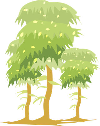 naturaltrees-icons-collection-colorful-sketch-614669