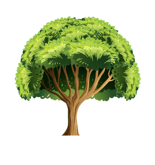 isolatedforest-trees-illustration-221586