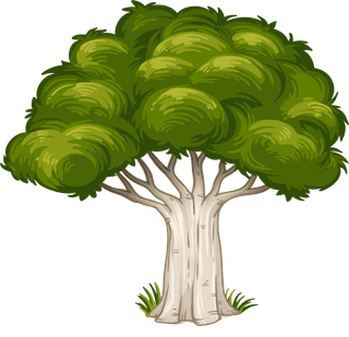 isolatedforest-trees-illustration-227364