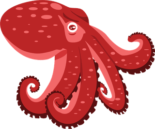 octopusmarine-animals-common-seafood-709636