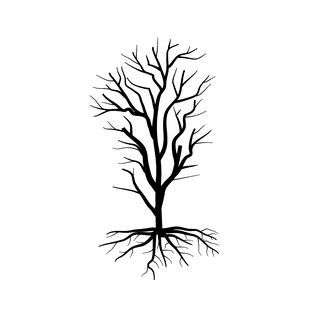 oldleafless-tree-bare-tree-silhouette-440101