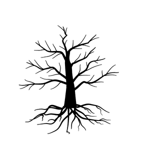 oldleafless-tree-bare-tree-silhouette-467724
