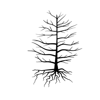 oldleafless-tree-bare-tree-silhouette-512672