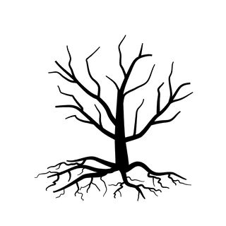 oldleafless-tree-bare-tree-silhouette-603976