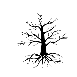 oldleafless-tree-bare-tree-silhouette-650183