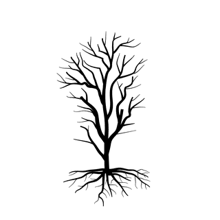 oldleafless-tree-bare-tree-silhouette-708222