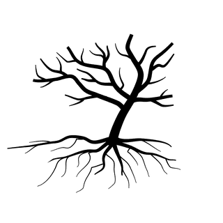 oldleafless-tree-bare-tree-silhouette-772214