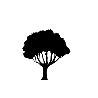oldtree-silhouette-forest-silhouettes-226805