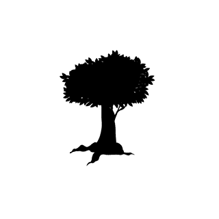 oldtree-silhouette-forest-silhouettes-305207