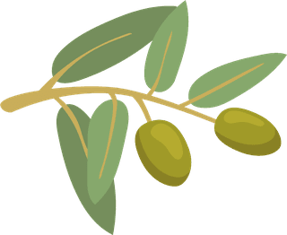 oliveand-olive-product-illustration-402394