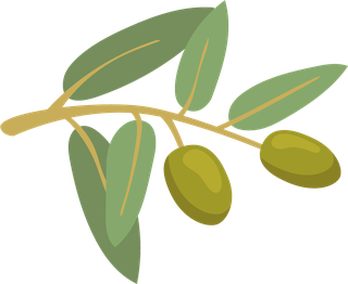 oliveand-olive-product-illustration-402394