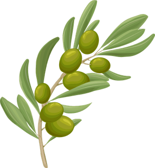 olivescartoon-olive-oil-elements-set-135825