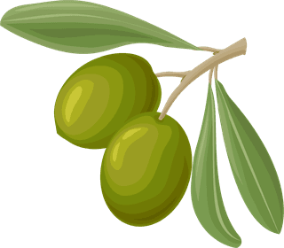 olivescartoon-olive-oil-elements-set-455980