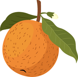 orangefruits-icons-colored-classic-handrrawn-sketch-639439